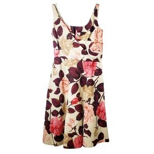 Talbots Silk Cotton Floral Rose Fit & Flare Dress Pink Cream Burgundy Size 4